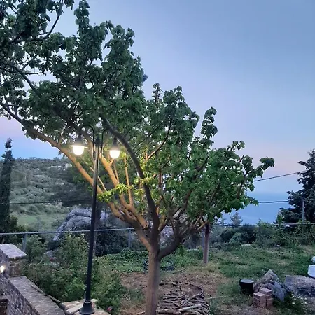 Erato In Kalliope Estate *